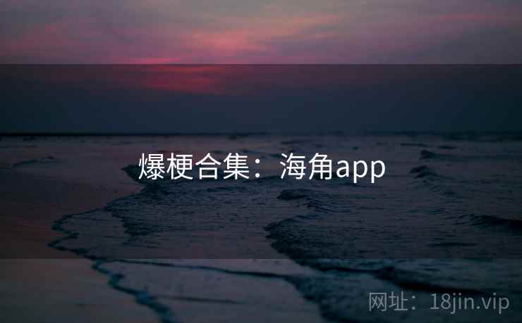 爆梗合集：海角app  第2张
