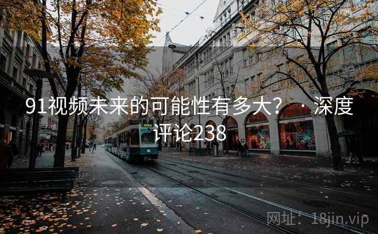 91视频未来的可能性有多大？ · 深度评论238