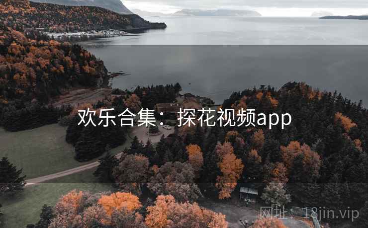 欢乐合集：探花视频app