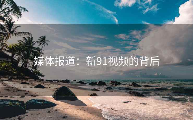 媒体报道：新91视频的背后