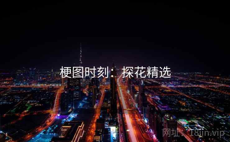 梗图时刻：探花精选
