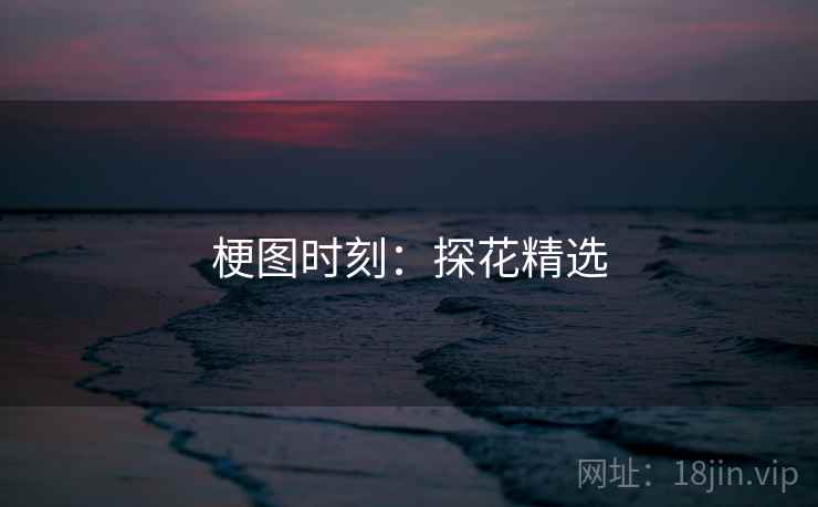梗图时刻：探花精选
